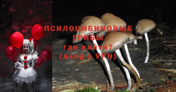 а пвп мука Баксан